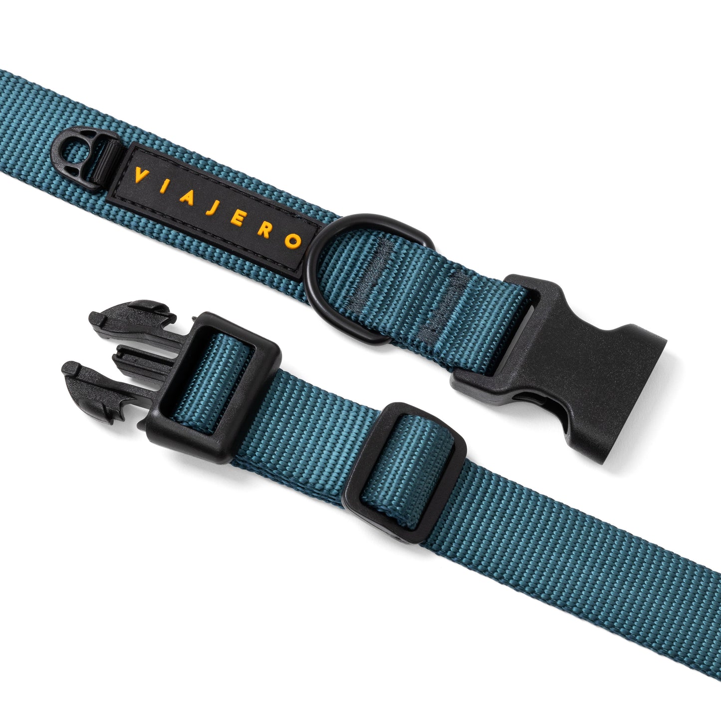 Nylon Dog Collar: Green