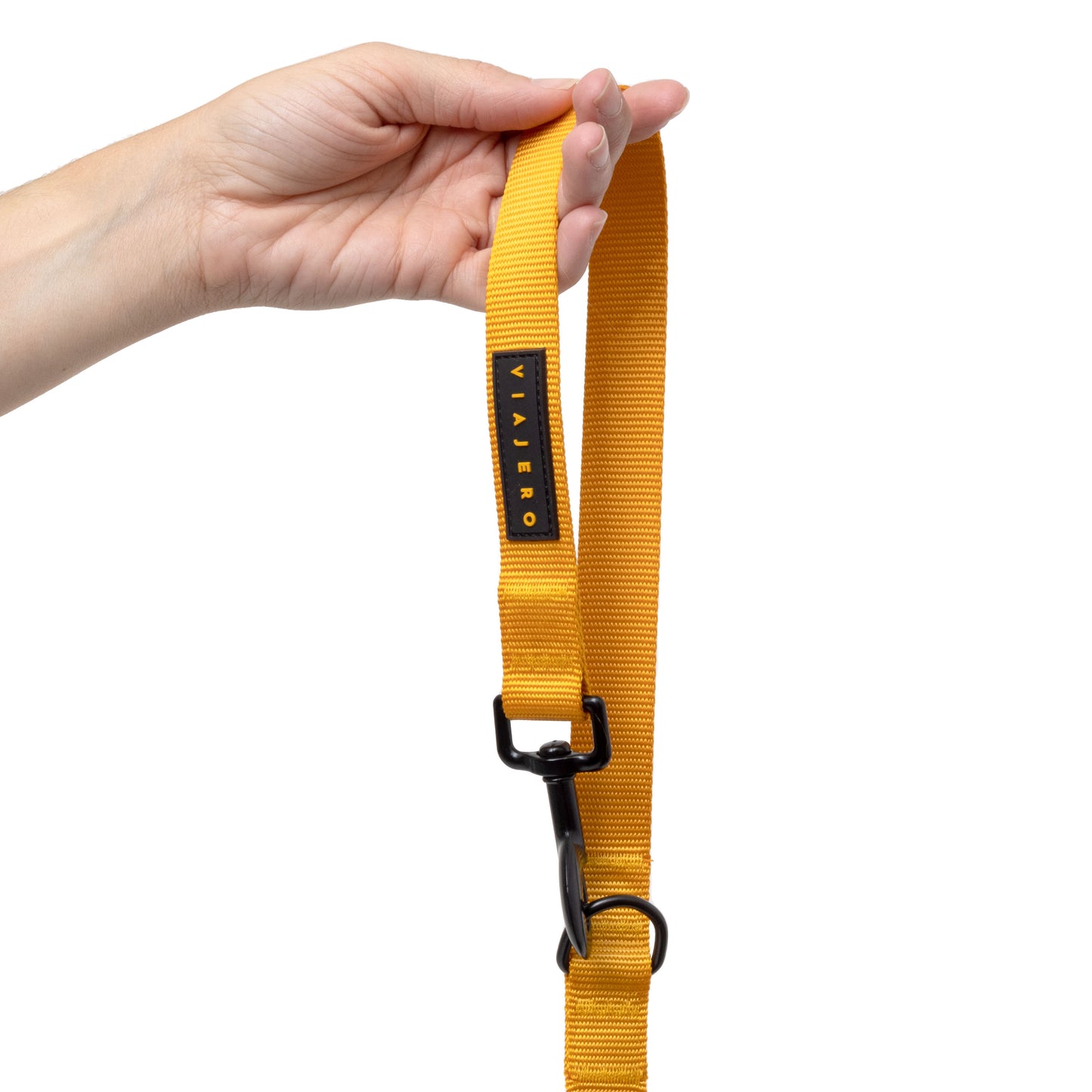 Nylon leash and collar set: Yellow