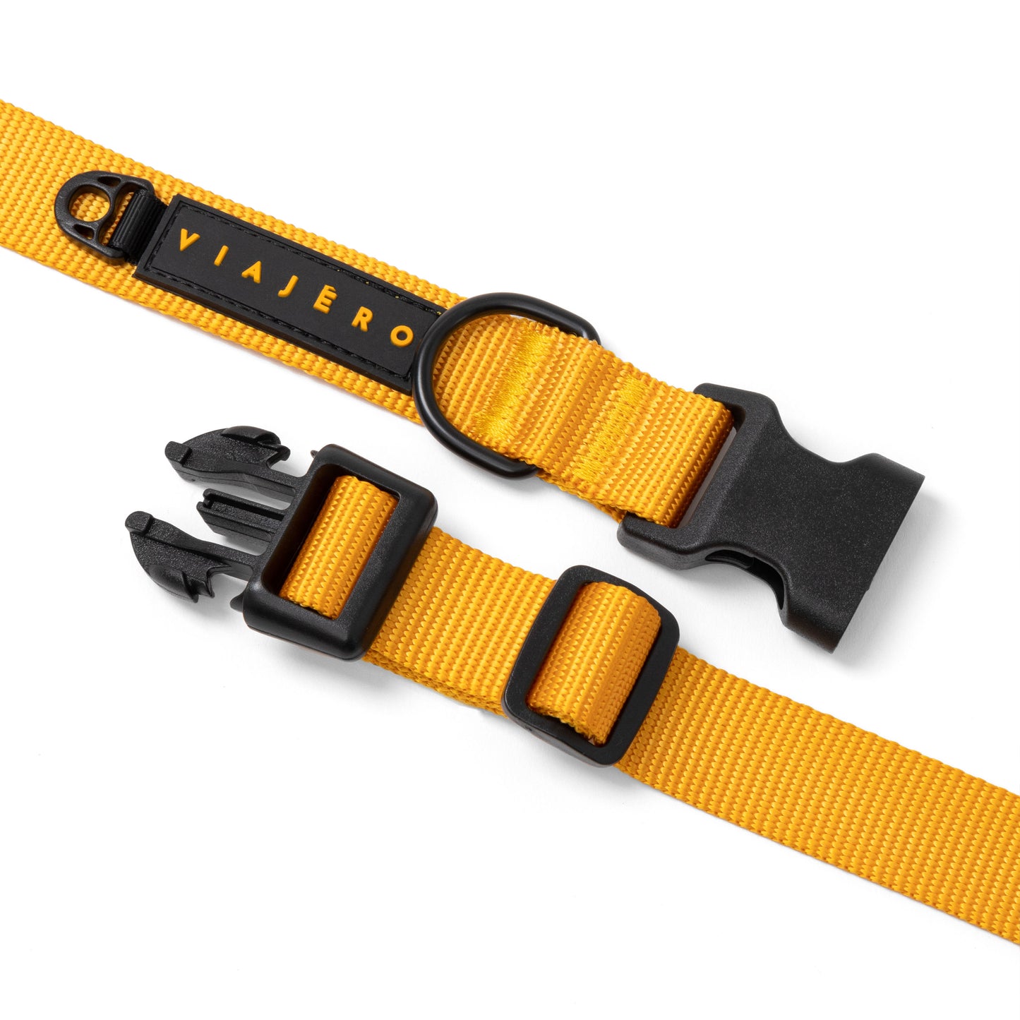 Nylon Dog Collar: Yellow