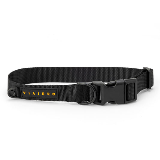 Nylon Dog Collar: Black