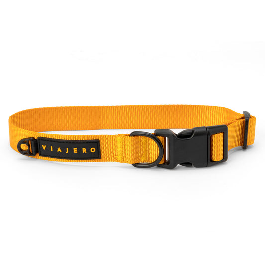 Nylon Dog Collar: Yellow