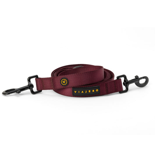 Nylon Dog Leash: Purple