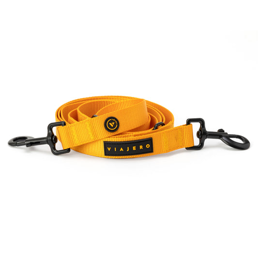 Nylon Dog Leash: Yellow