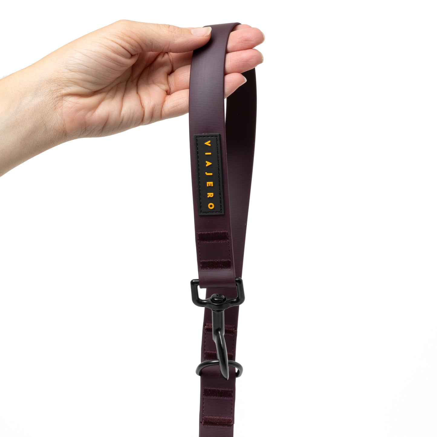 Waterproof Dog Leash: Purple