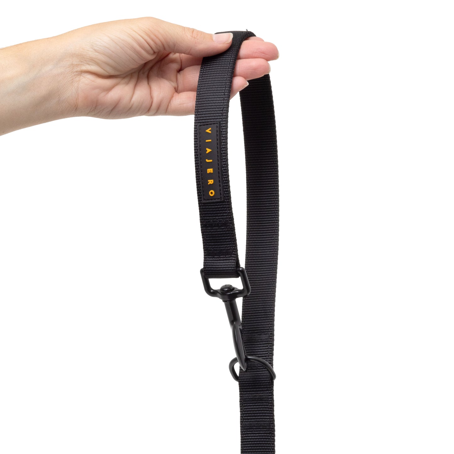 Nylon Dog Leash: Black