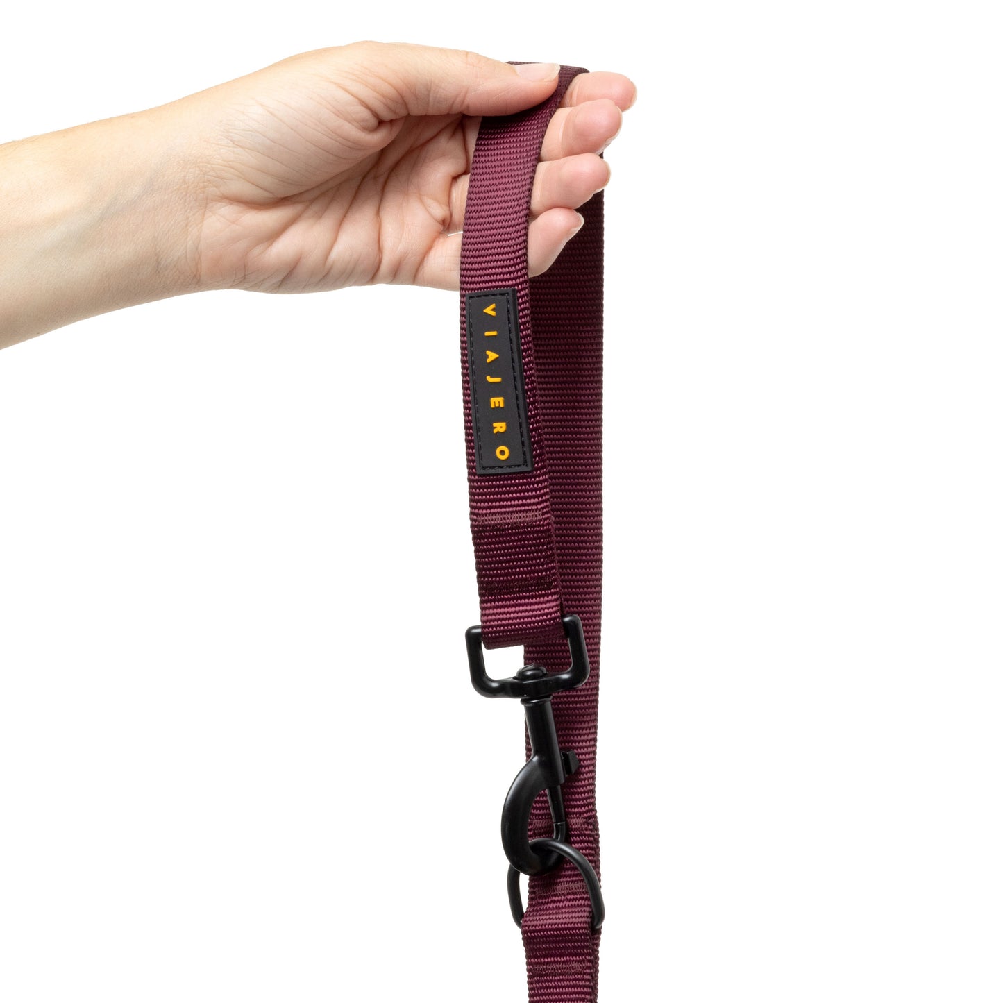 Nylon Dog Leash: Purple