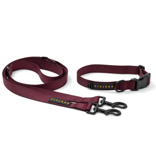 Nylon leash and collar set: Purple